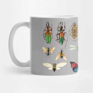 The Usual Suspects - insects on white - watercolour bugs pattern Mug